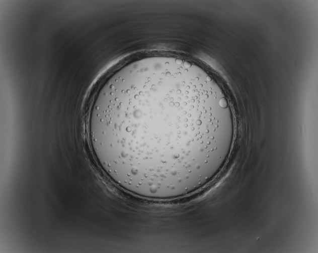 X0000086910925200704161006