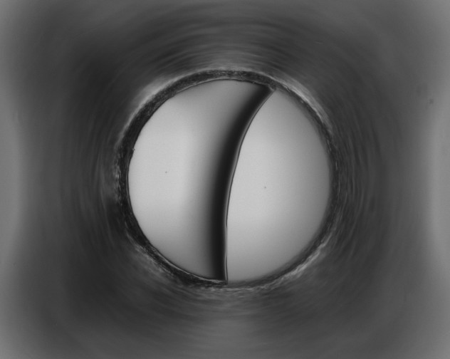 X0000086910926200704161006