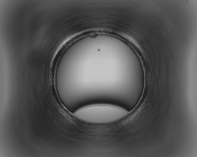 X0000086910927200704161006