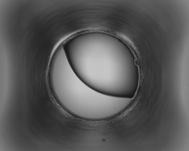 X0000086910928200704161006