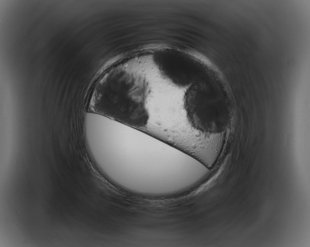X0000086910929200704161006