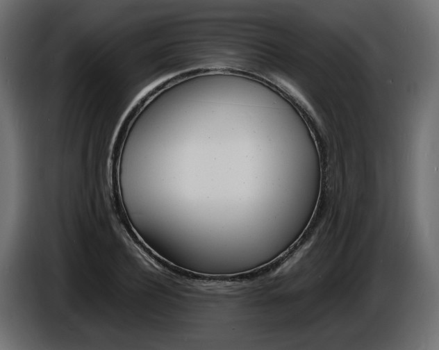 X0000086910932200704161006