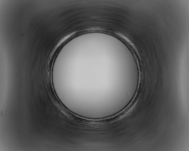 X0000086910933200704161006