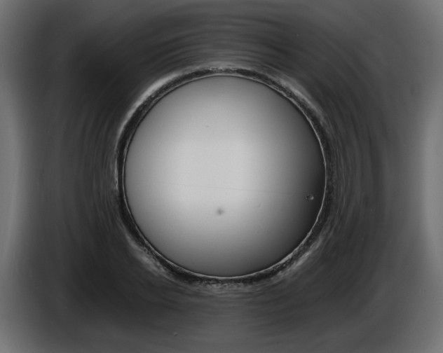 X0000086910934200704161006