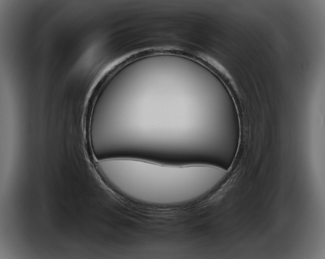 X0000086910935200704161006