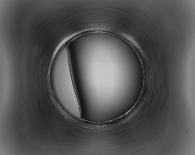 X0000086910936200704161006