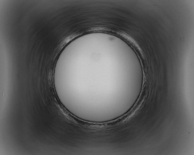 X0000086910937200704161006