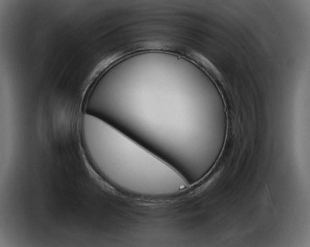 X0000086910938200704161006