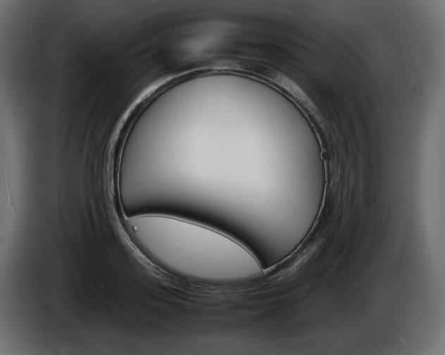 X0000086910939200704161006