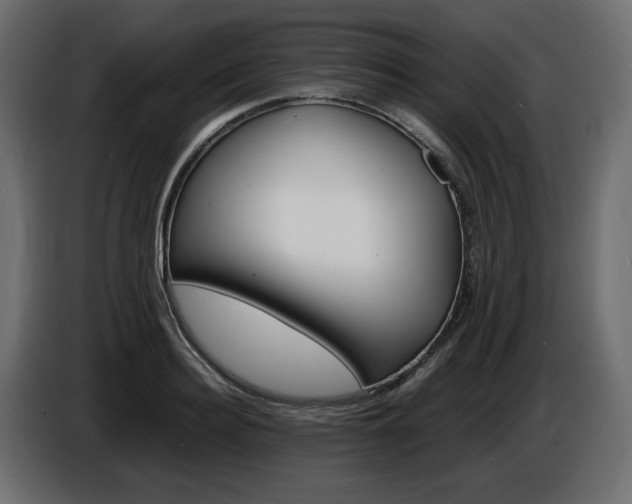 X0000086910940200704161006