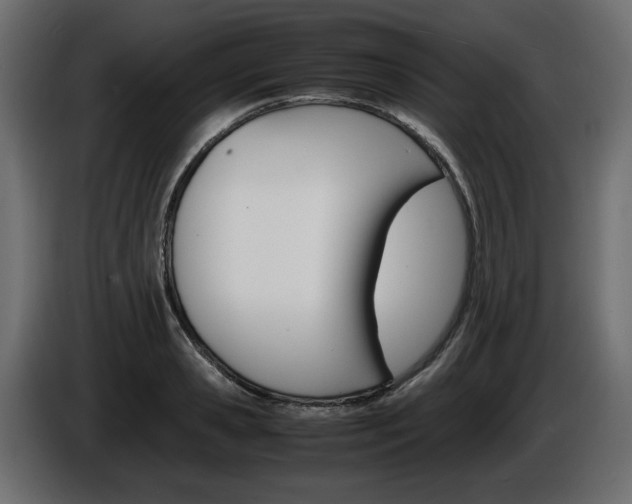 X0000086910941200704161006
