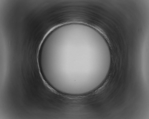 X0000086910942200704161006