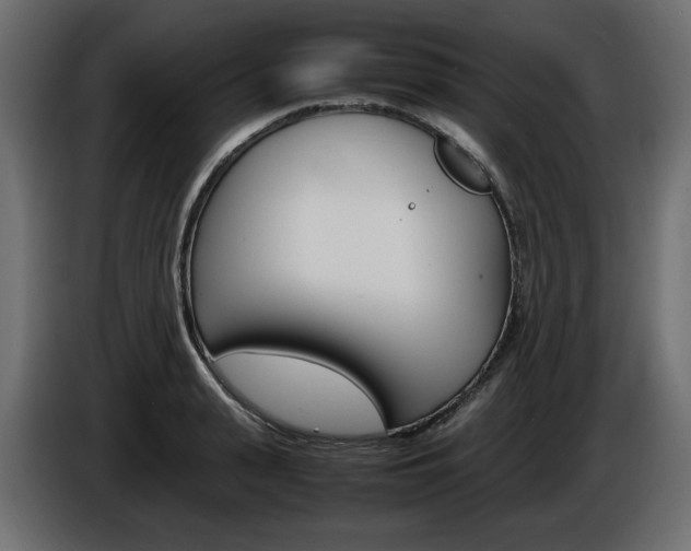 X0000086910943200704161006