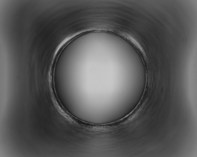 X0000086910944200704161006