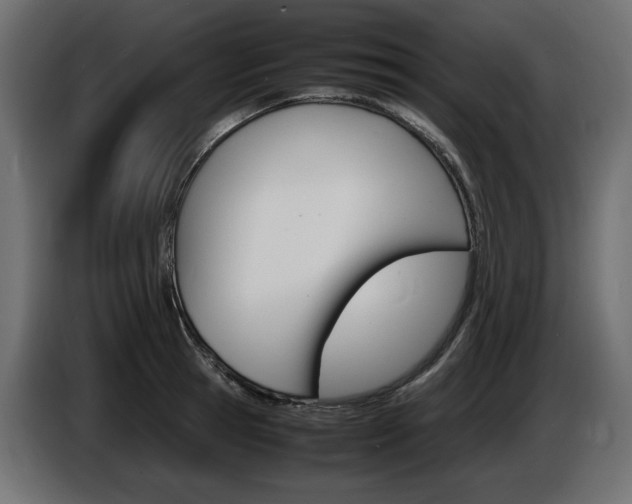 X0000086910945200704161006