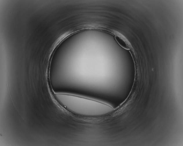 X0000086910946200704161006