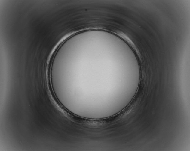 X0000086910947200704161006