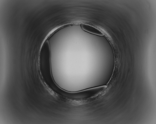 X0000086910948200704161006