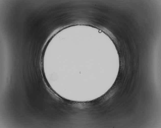 X0000086910950200704161006