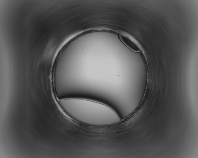 X0000086910951200704161006