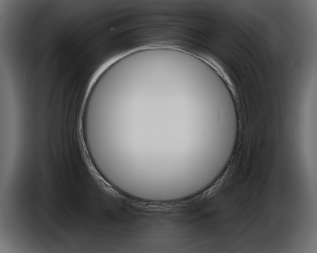X0000086910952200704161006