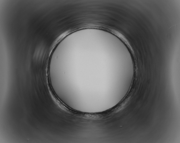 X0000086910954200704161006