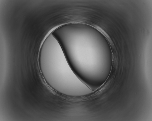 X0000086910956200704161006