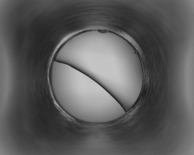 X0000086910958200704161006