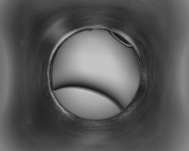 X0000086910959200704161006