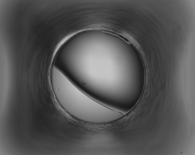 X0000086910960200704161006