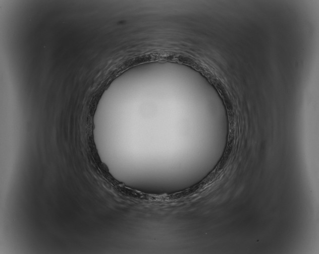 X0000086910961200704161005