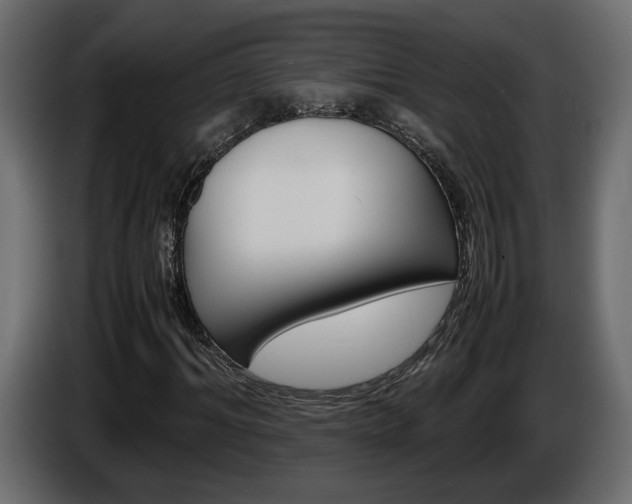 X0000086910964200704161005