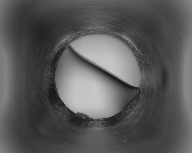 X0000086910967200704161005
