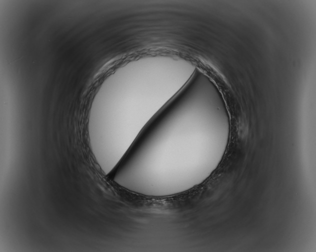 X0000086910968200704161005