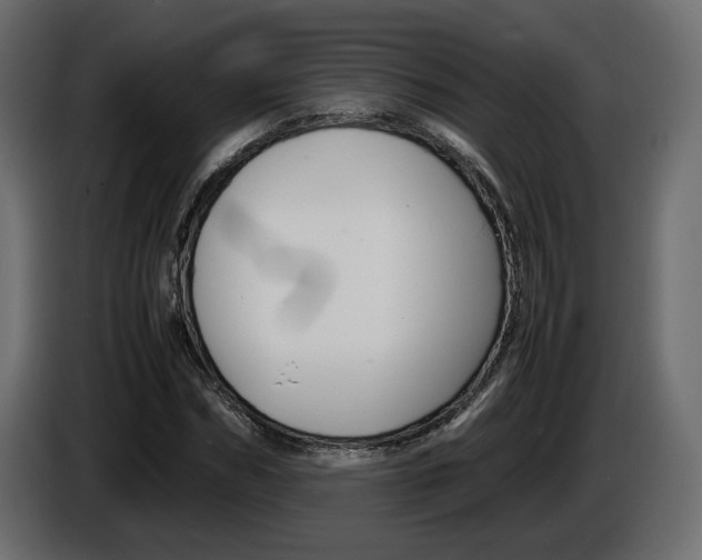 X0000086910970200704161005