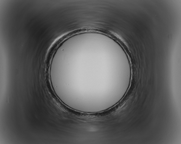 X0000086910971200704161005