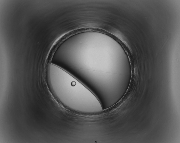 X0000086910972200704161005