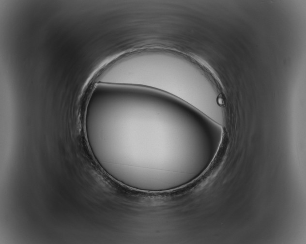 X0000086910973200704161005