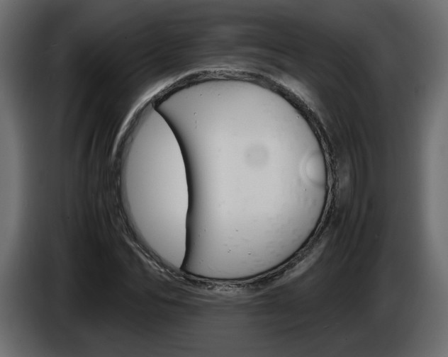 X0000086910974200704161005