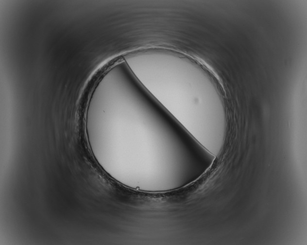 X0000086910975200704161005