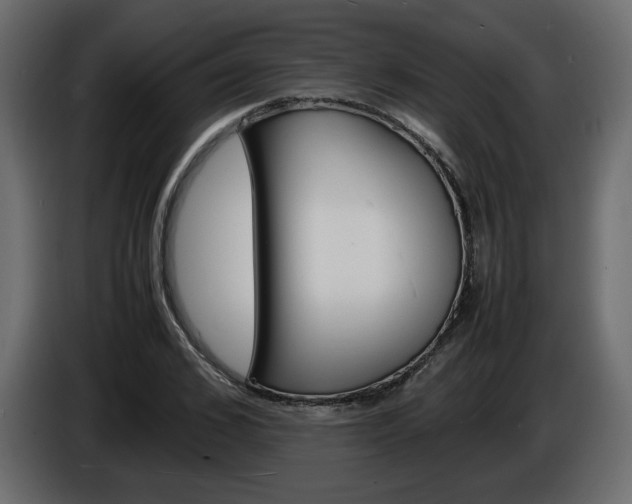 X0000086910976200704161005