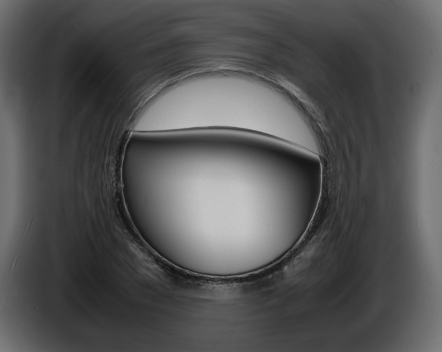 X0000086910977200704161005