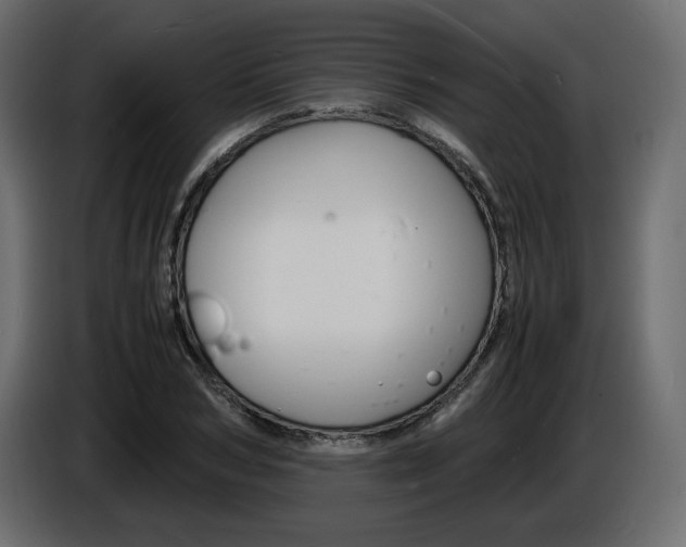 X0000086910978200704161005
