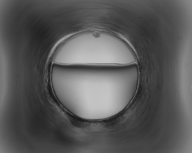 X0000086910979200704161005
