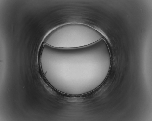 X0000086910980200704161005