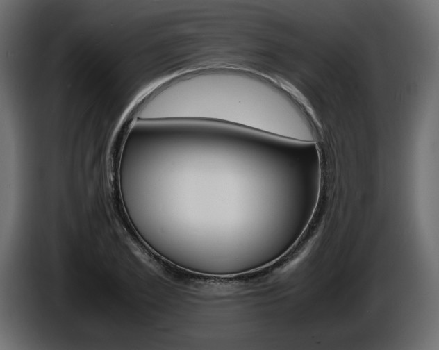 X0000086910981200704161005