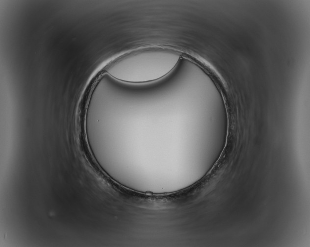 X0000086910983200704161005