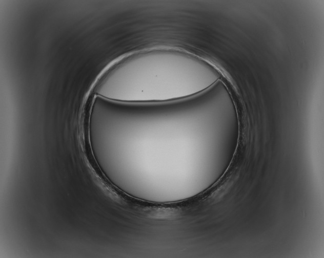 X0000086910984200704161005