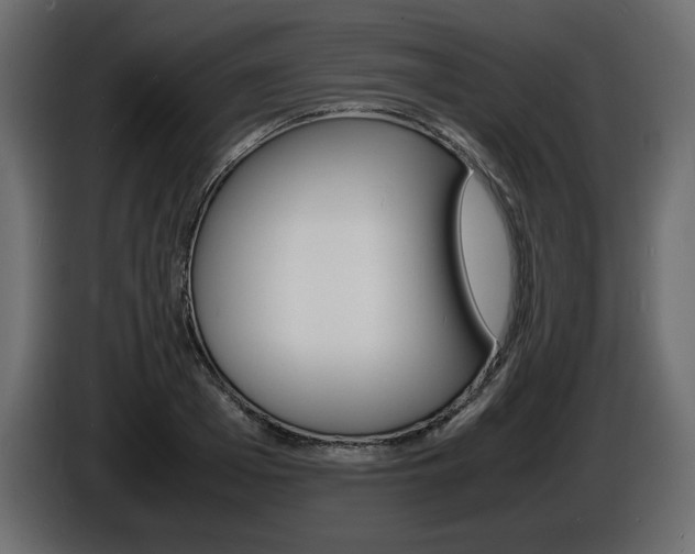 X0000086910985200704161005
