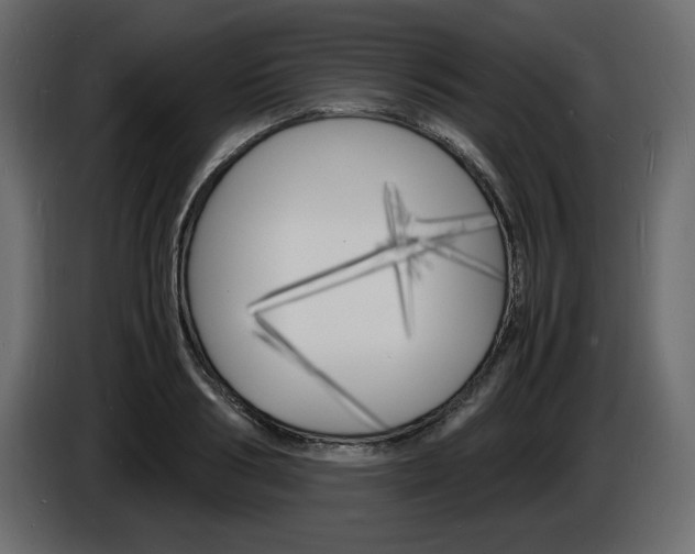 X0000086910986200704161005